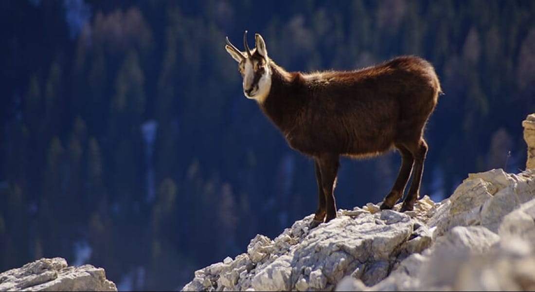 Cam Uçurum: Kadınlar Zirveye Ulaştıklarında Aşağıya Bakmak Zorunda Kalıyor