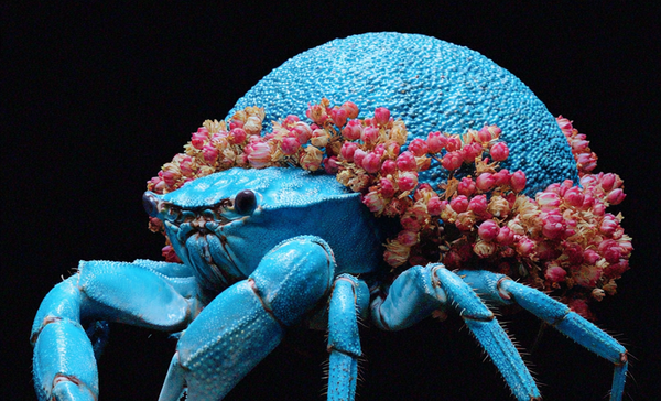 3 Ocak Yengeç Dolunayı Detaylı Yorumu